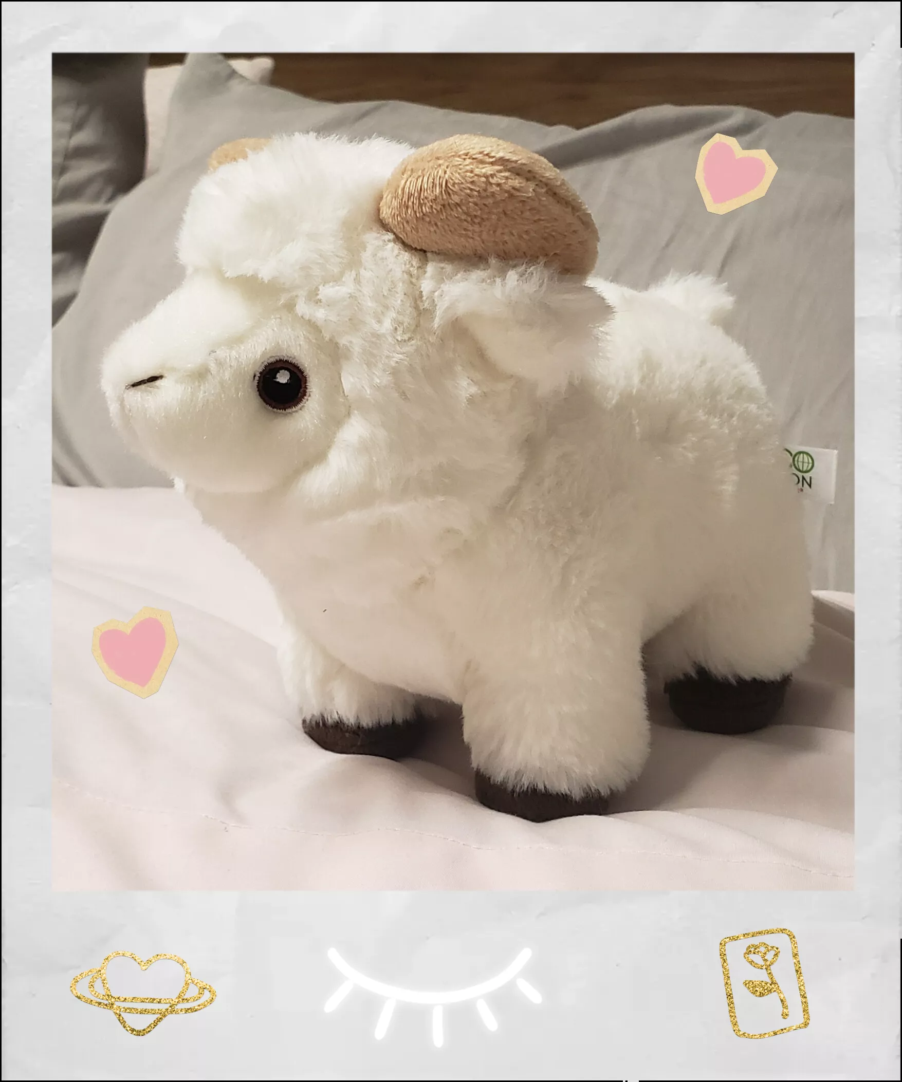 I love this stuffy Daddy bought me from our zoo trip 🥺💞