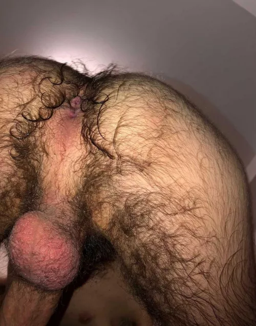 I need someone who wants to ufck my ass