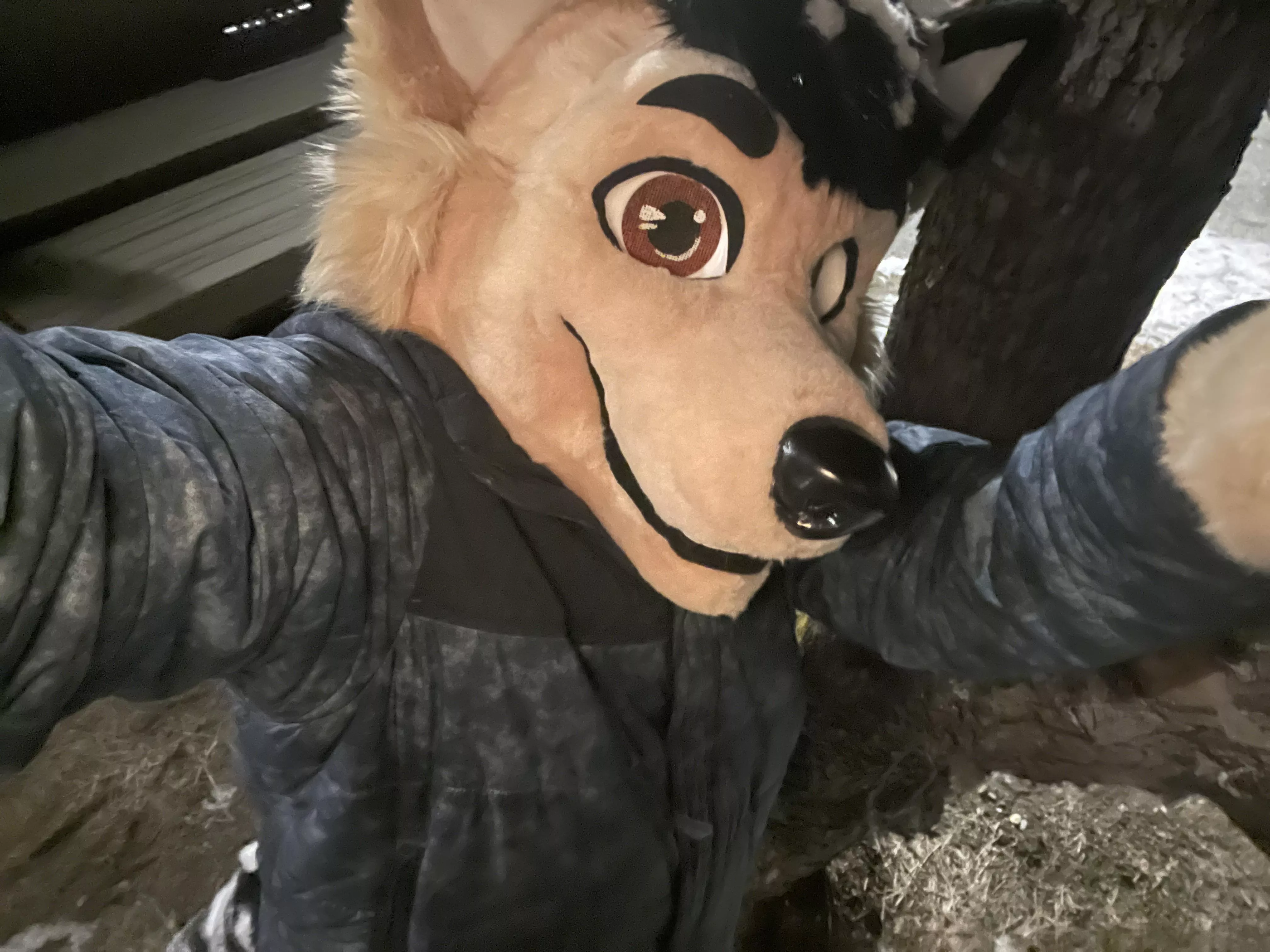 i offer hugs to the subreddit