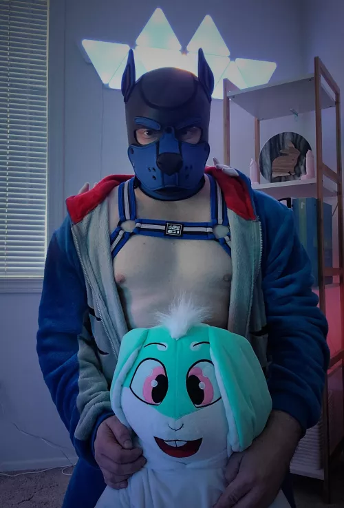 I really like Bunnies 🐰