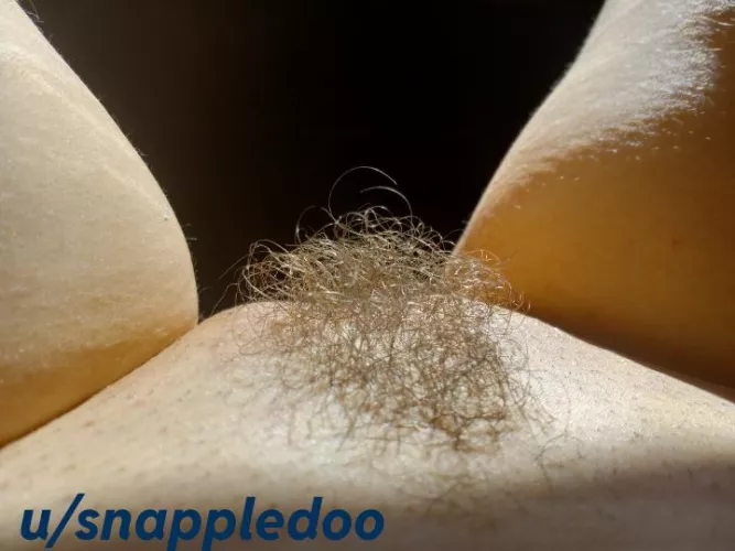 I really like this cute, artsy photo I took of my little bush today 🥰