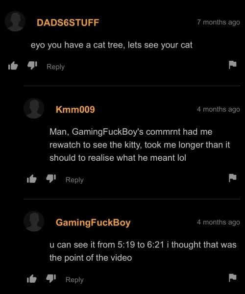 I wanna see the cat too😏