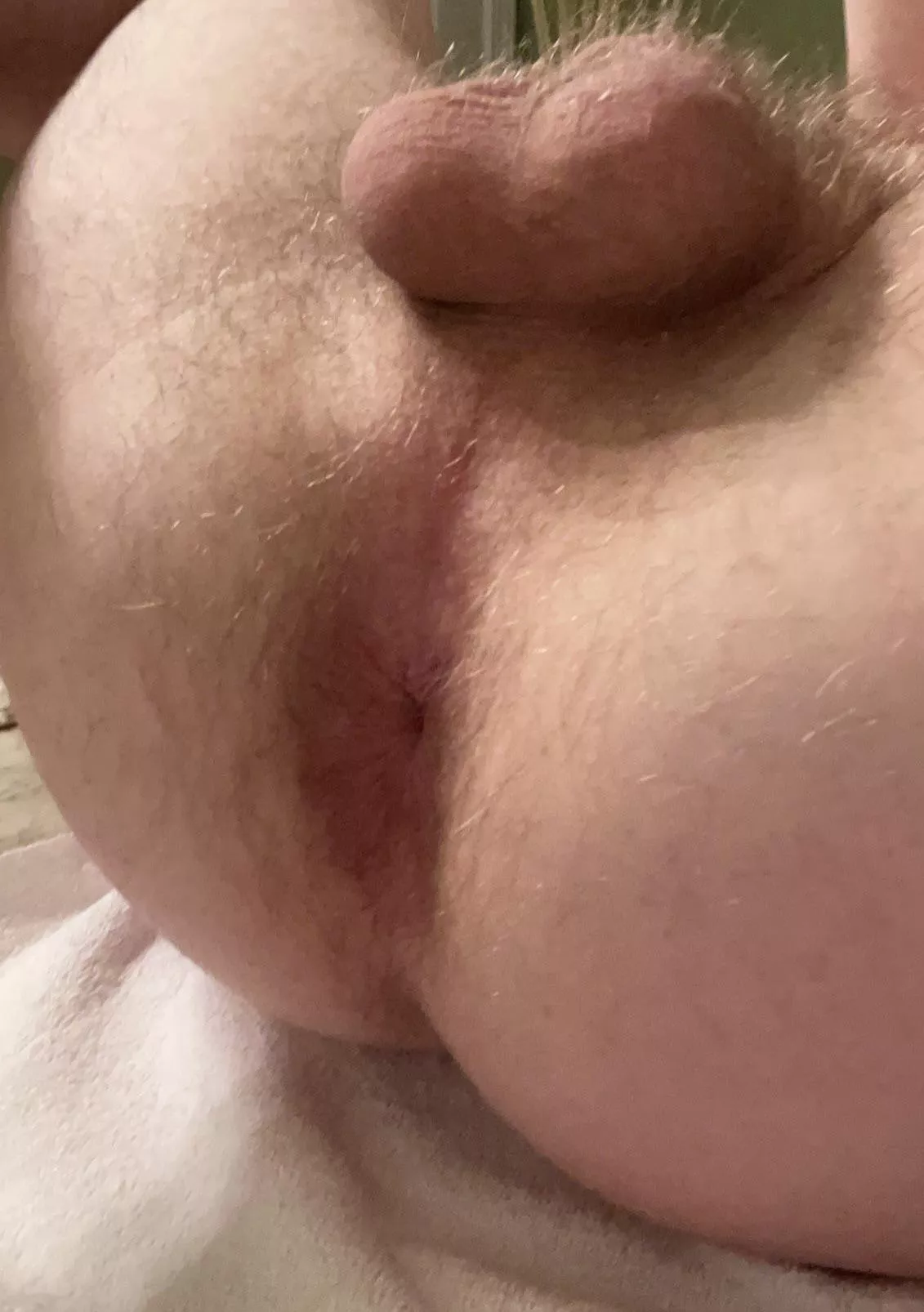 I wish I was more hairy but there’s some there (22)