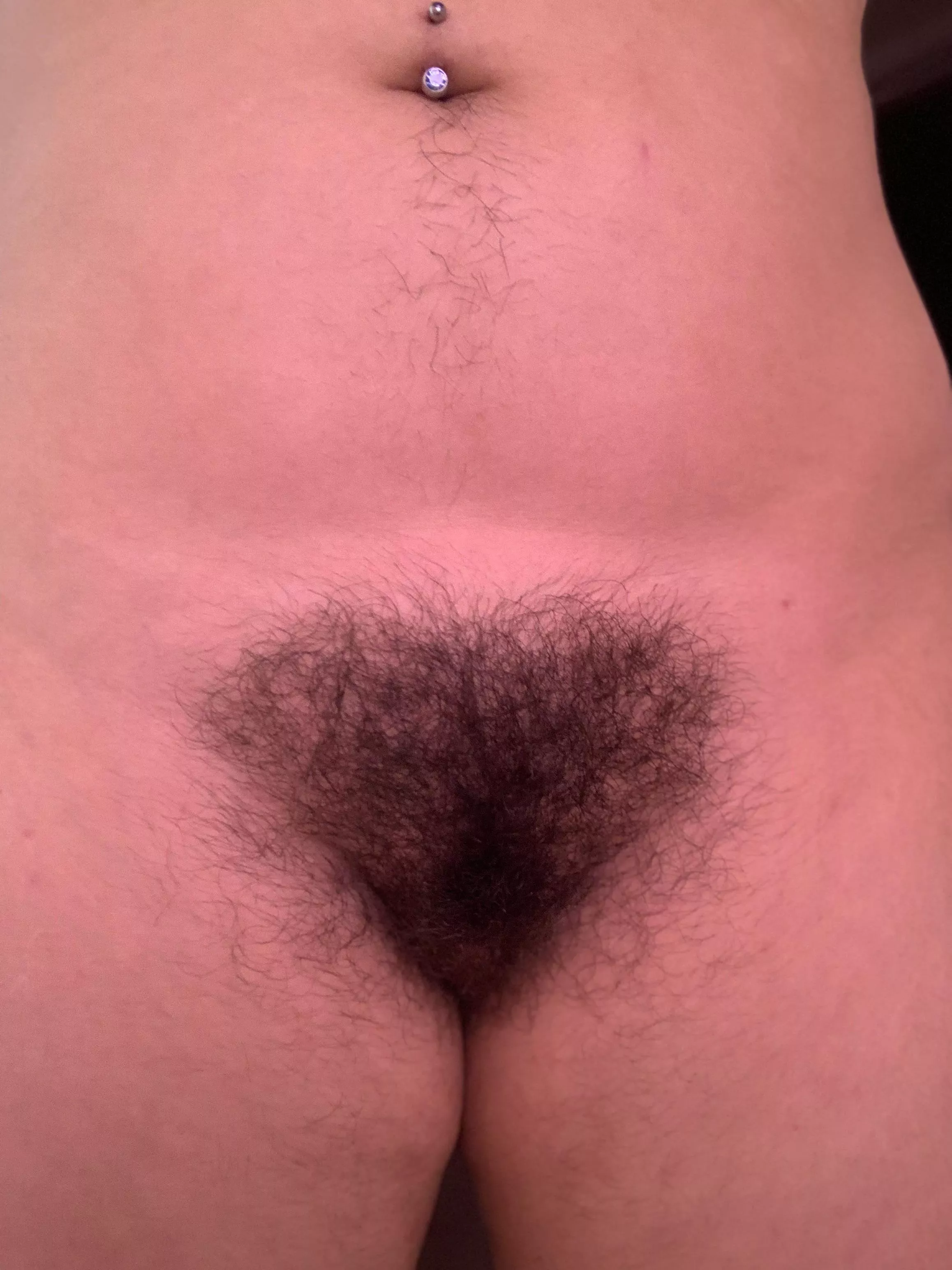 I wonder how huge my bush could get if I stopped shaving for the rest of my life