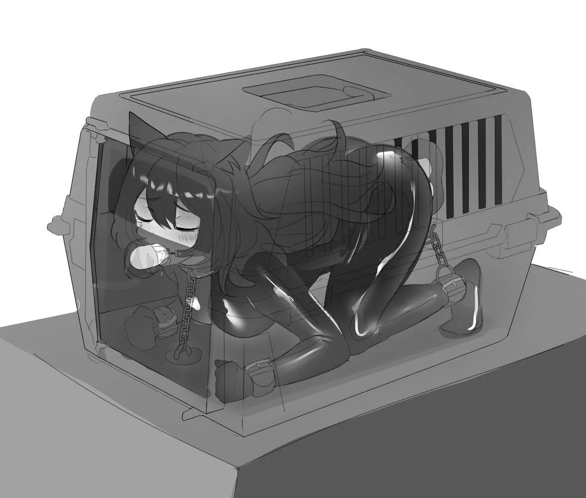 I’d never travel without my pet ~