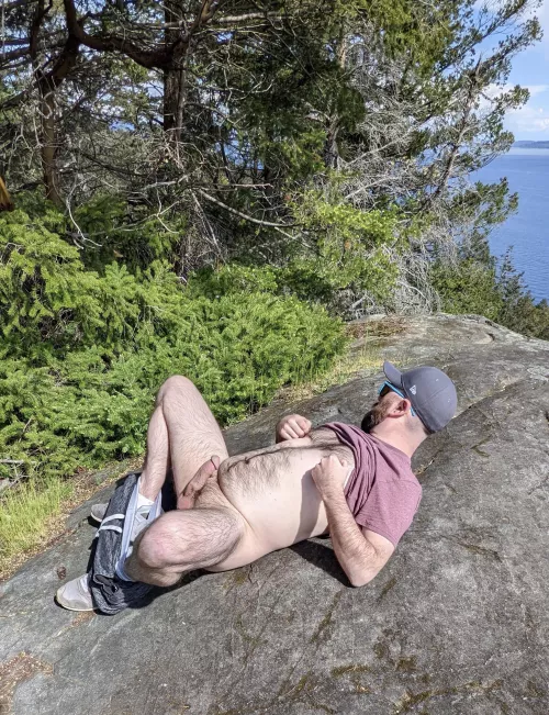 If you go down in the woods today, you're sure of a big surprise