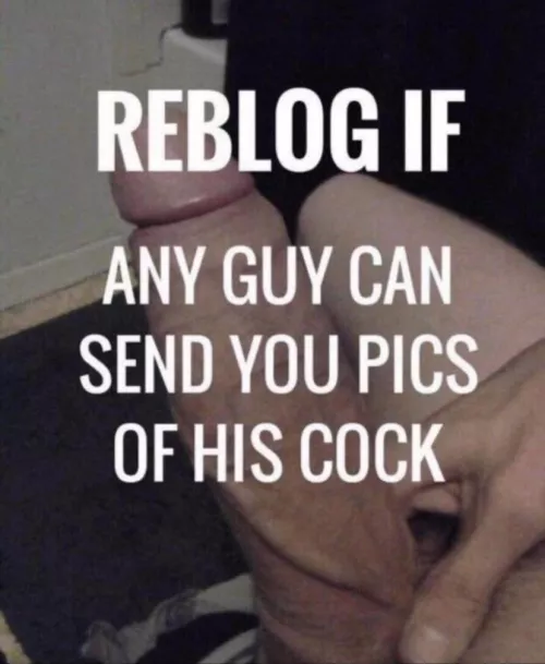 i’ll rate everyone’s xx