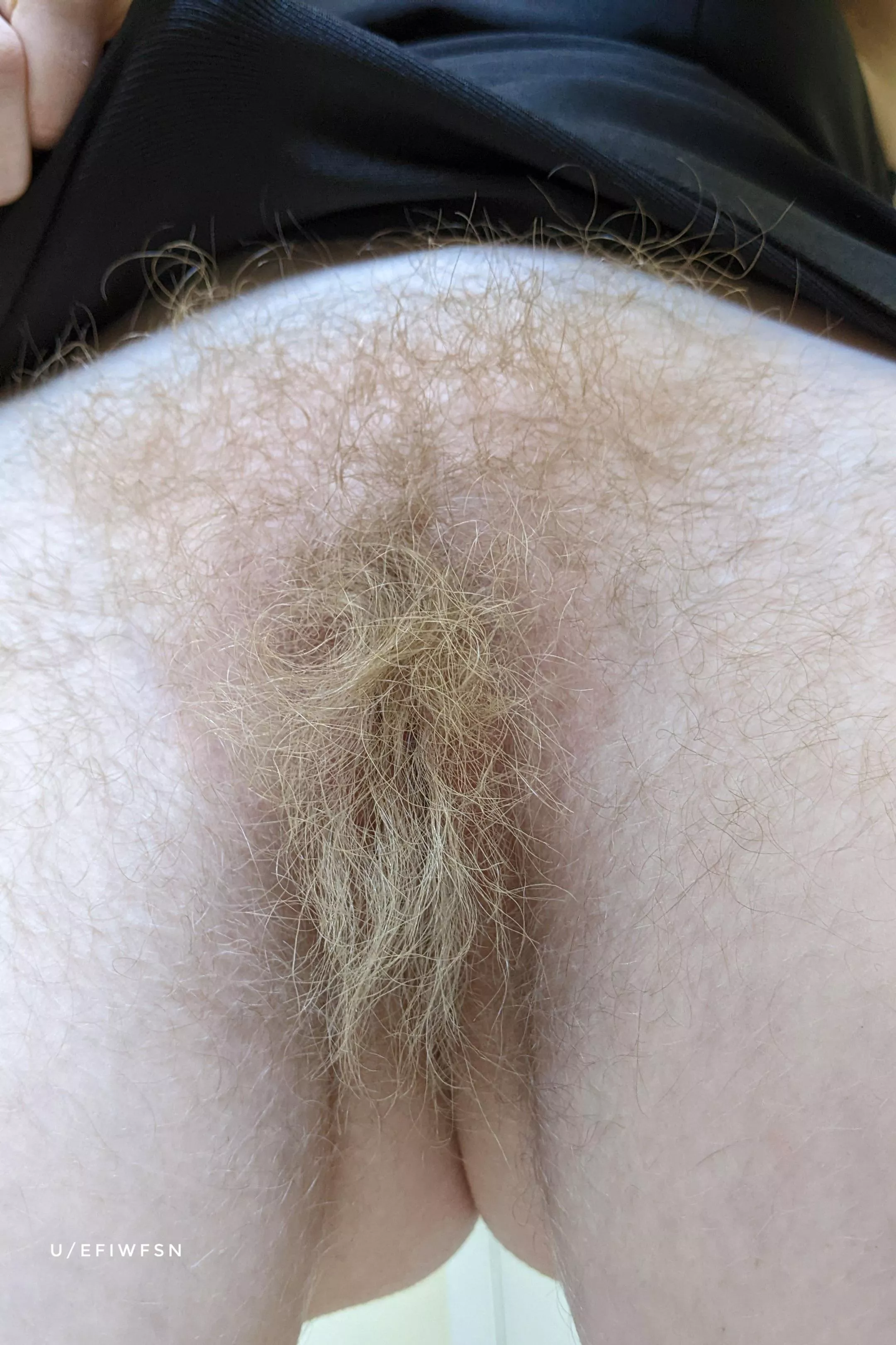 I'm a wild blonde