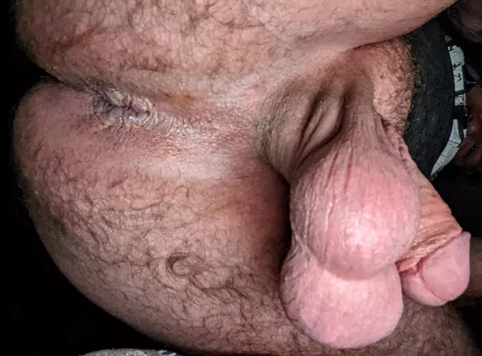 I’m gonna sit on your face