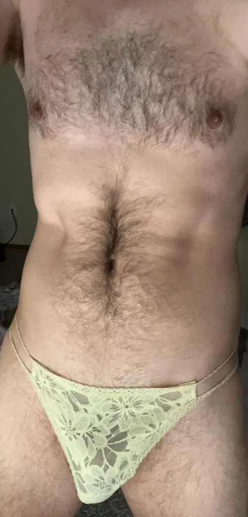 I’m new to this please be gentle