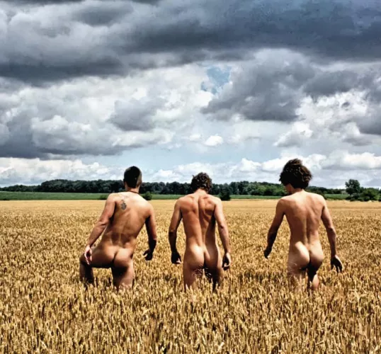 “In the field” …