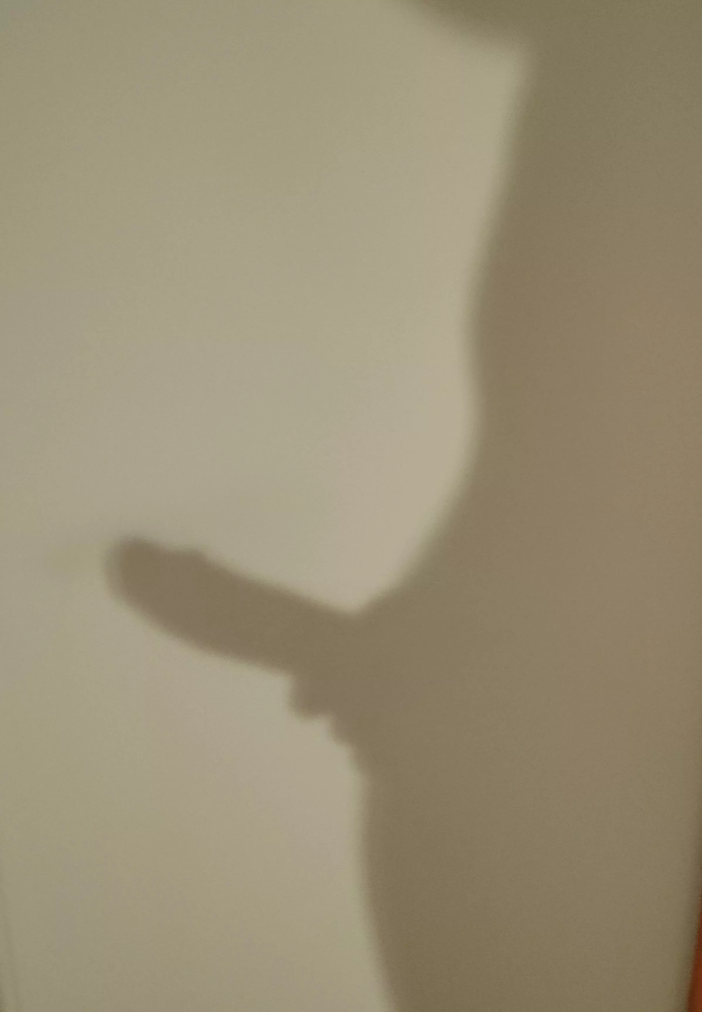 in the shadow (m)