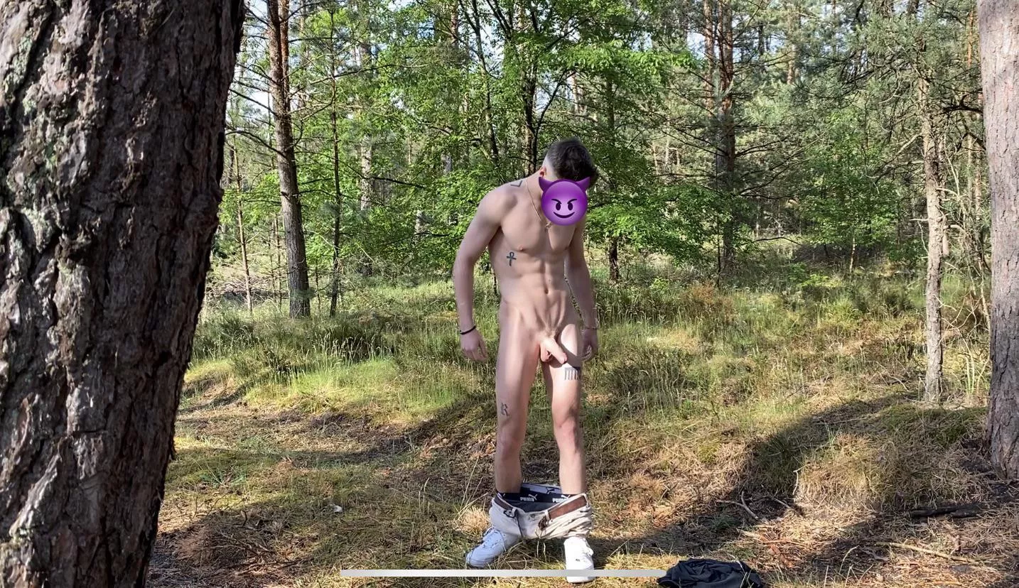 In the Woods 🌳