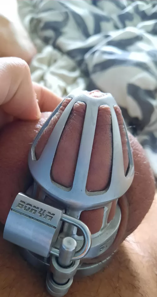 Is my cage small enouth for you? 🥰 (21 trans girl) 💗