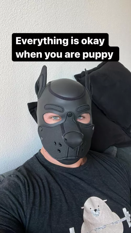 Is okay to be good pupper… is okay to be bad pupper 😇😈