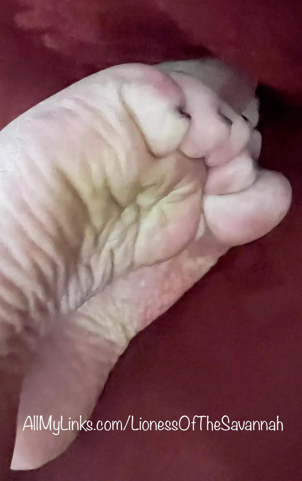 It’s Sole Sunday… You know you’re weak for my soles… 😜😉 Like what you see? Check out my profile and DM me! 🥰 It’s Sole Sunday… You know you’re weak for my soles… 😜😉 Like what you see? Check out my profile and DM me! 🥰