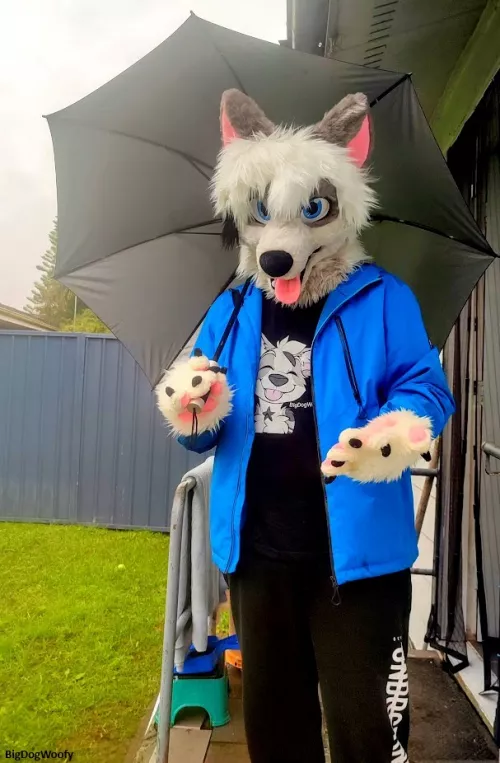 It's wet out here, take my paw and I'll keep you dry.