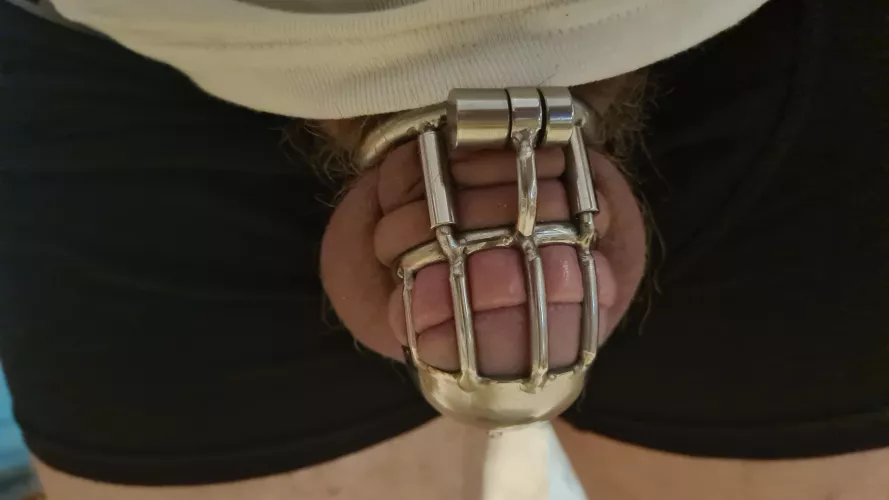 I've been back in the cage since Monday. And super horny