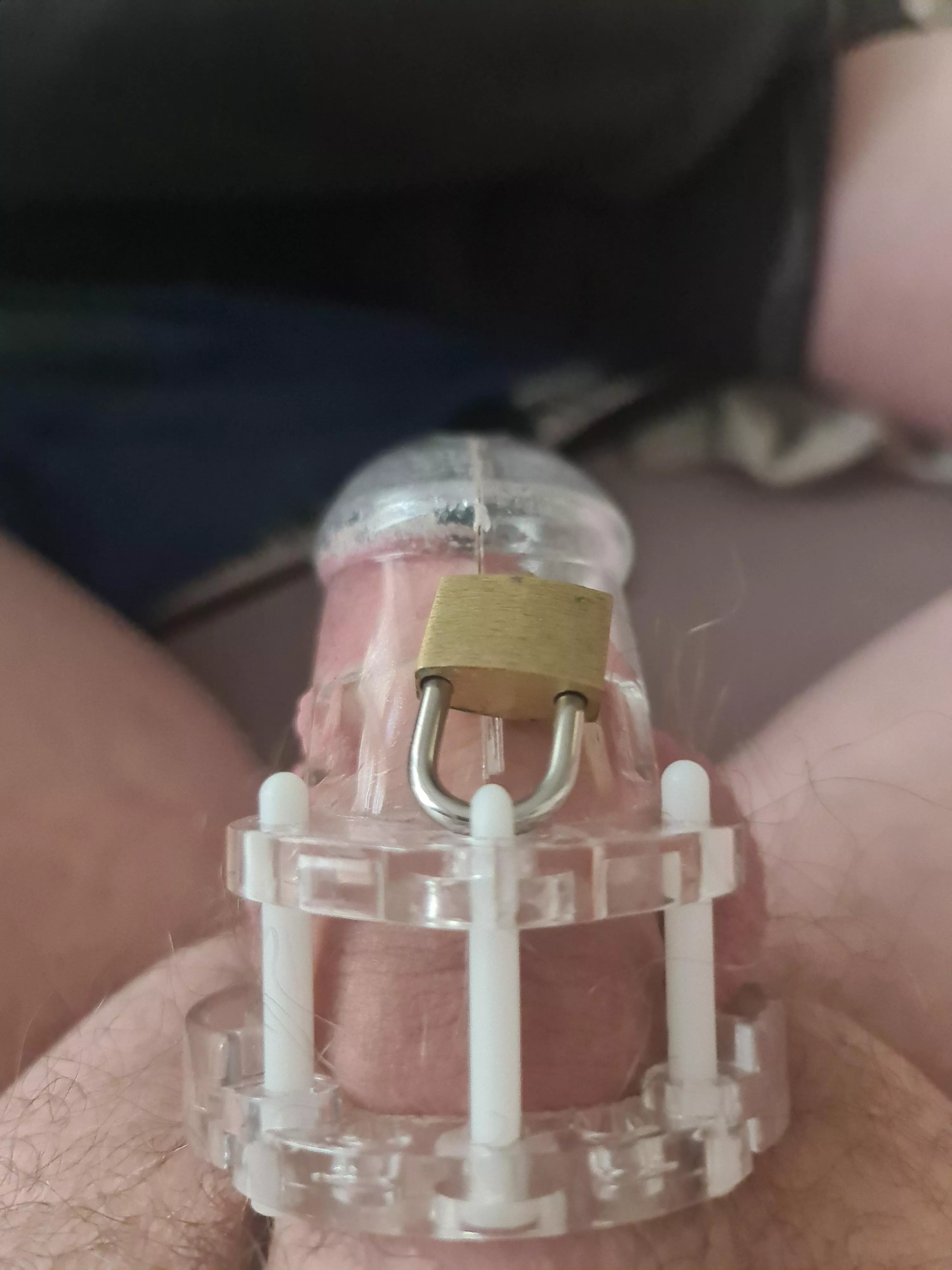I've been told by my master to go online and get someone else's permission to take off my cage so is anyone feeling generous I've been told by my master to go online and get someone else's permission to take off my cage so is anyone feeling generous