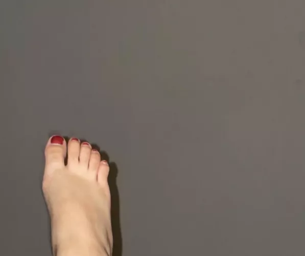 i’ve been told i have very beautiful feet and it’s time i stop being selfish! cum find me @feetbabe15