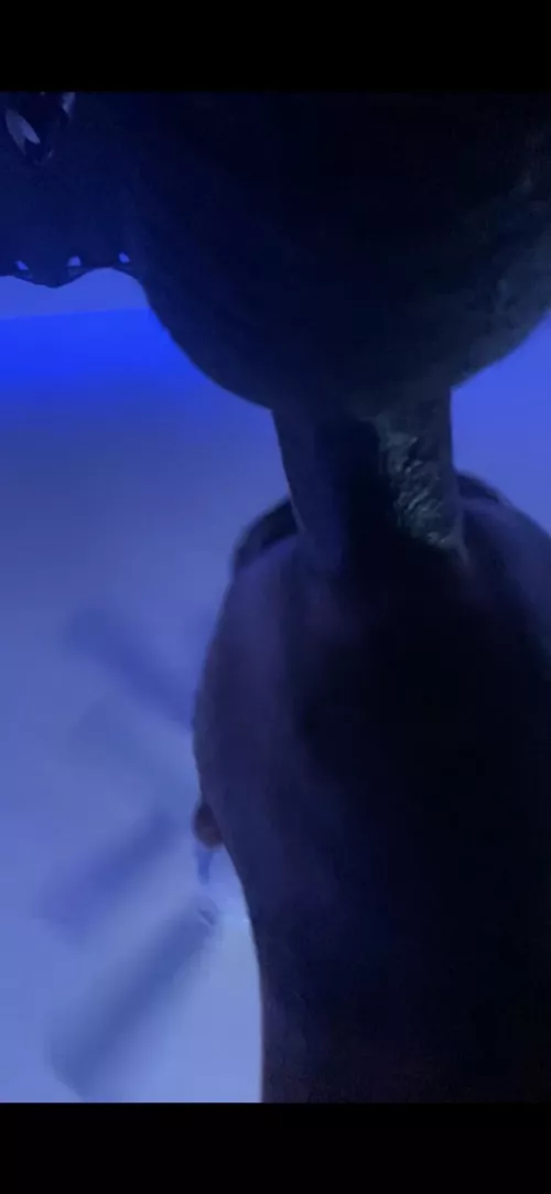 I’ve blown 4 men in the last 5 days. How many should i try to get to before the weekend is over ?