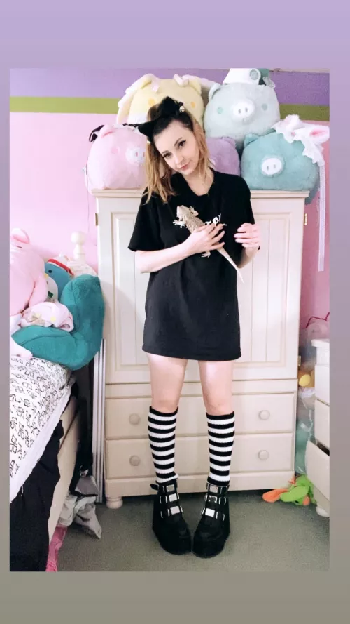 Junie wanted to come out and play ☀️