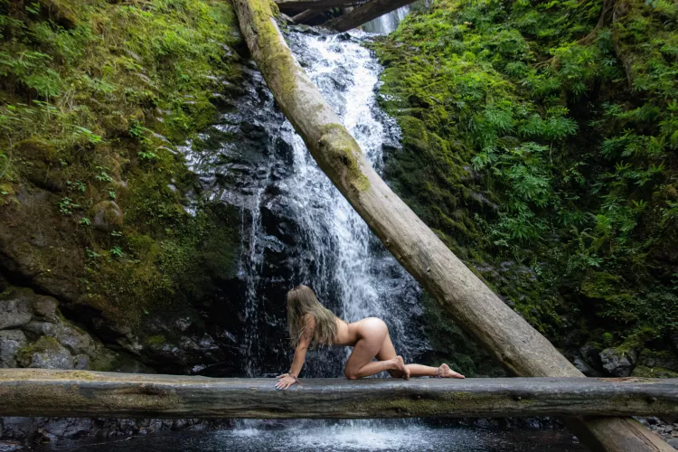 Just a lil forest creature 🧚✨