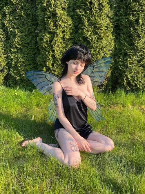 Just a little fairy 🌸 [F]