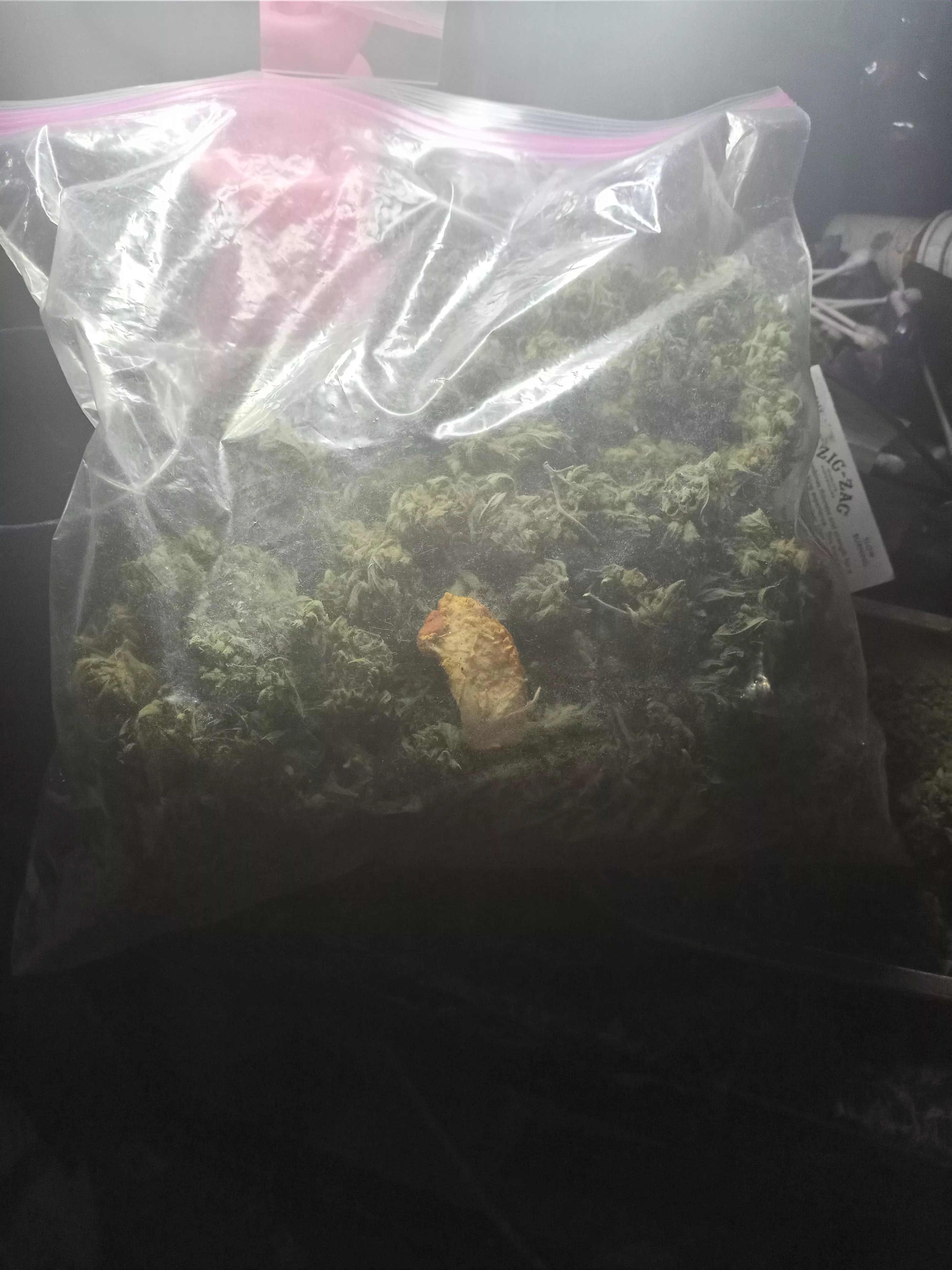 Just bag
