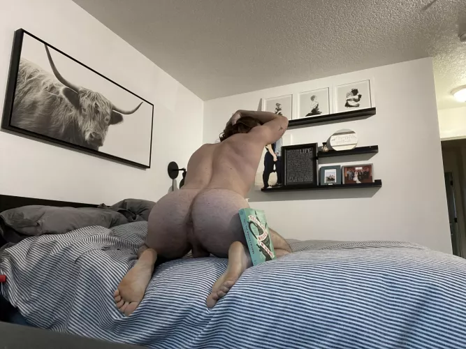 Just finished my latest book! Tell the Wolves I’m Home