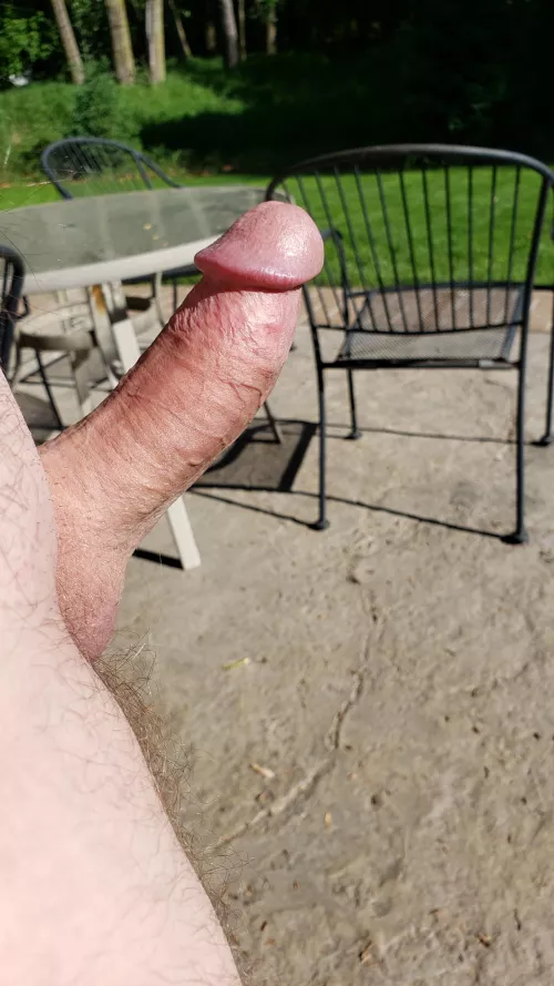 Just hanging out on the patio.