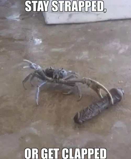 Just I meme I made that I'm proud of and want to release into the wild.