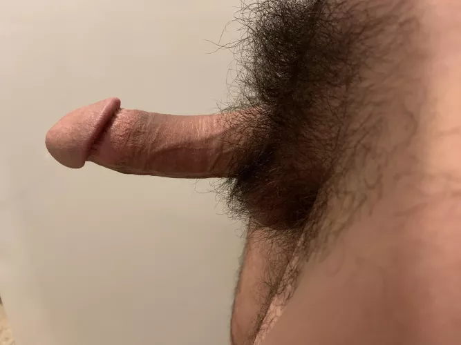 Just my bushy cut cock