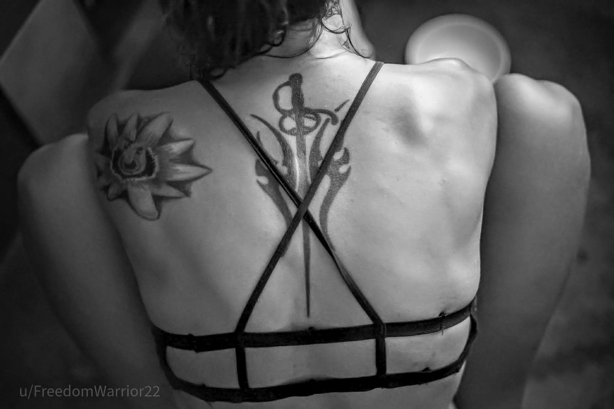 Just the back.