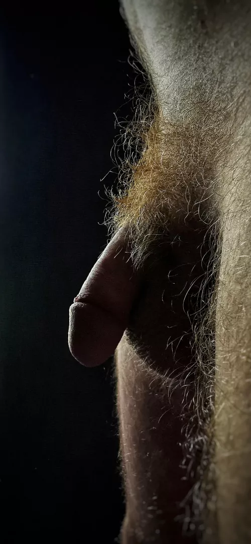 just the morning light 🌄