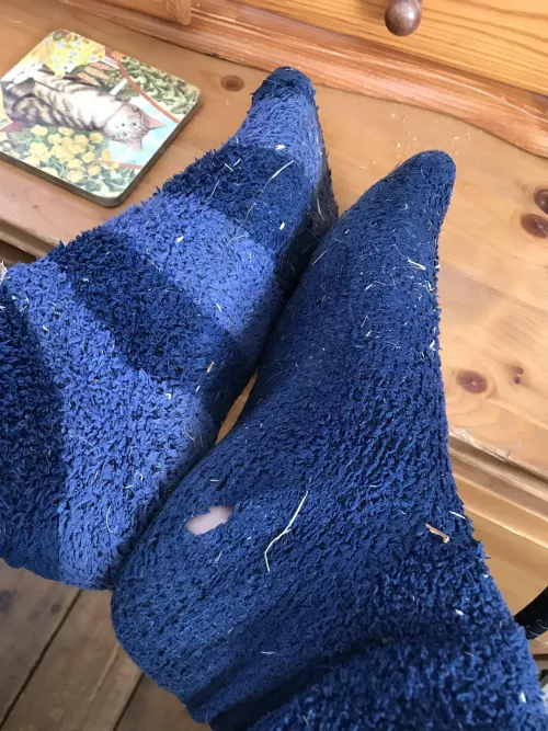 Just three days and these smell lush I even have to bag them up 😈