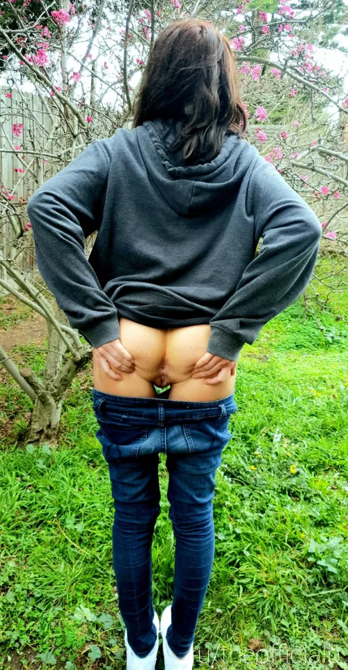 kiss me under the cherry blossom 💋 [F]