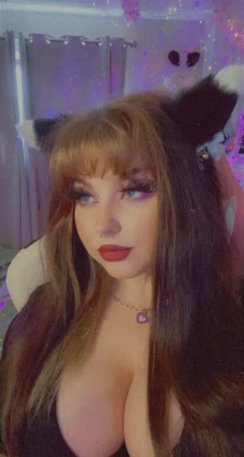 kitty girl hehe<3😽