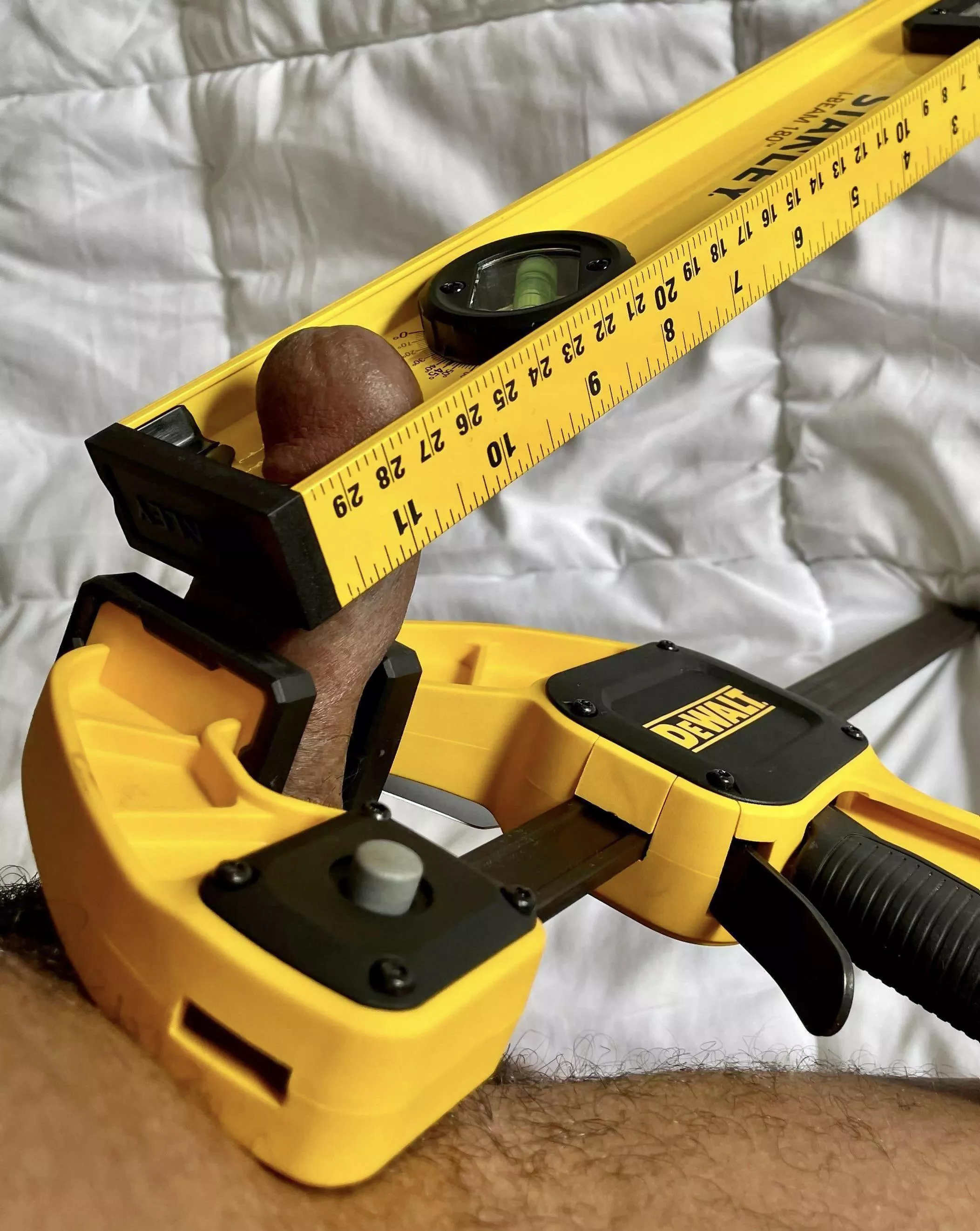 Knob, The Builder