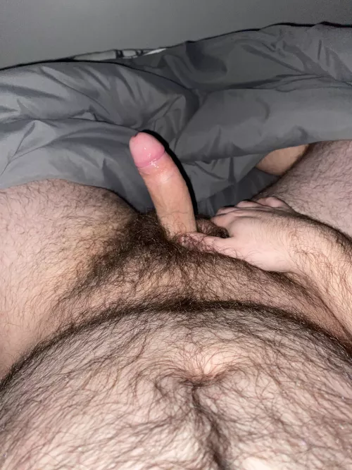 Late night wank. Are you up? 🐻🍆