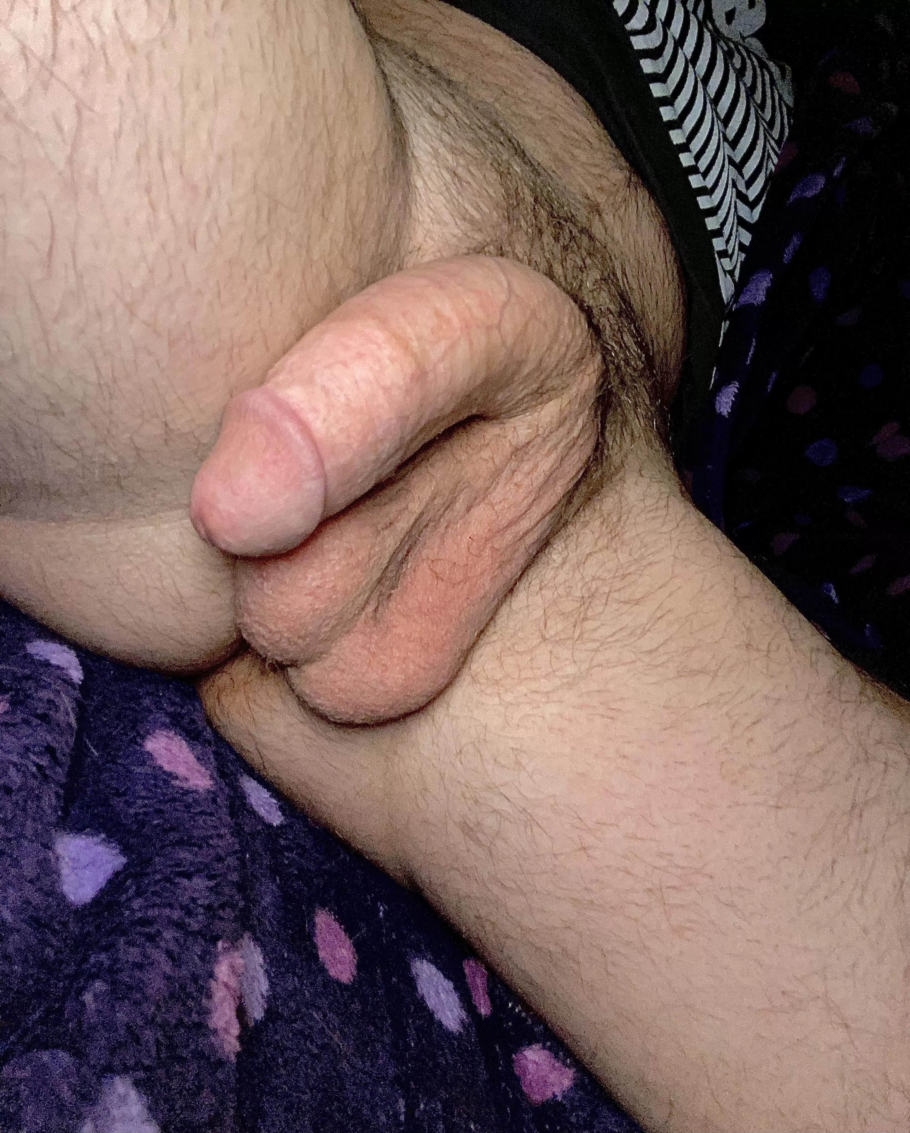Lazy Wednesday…