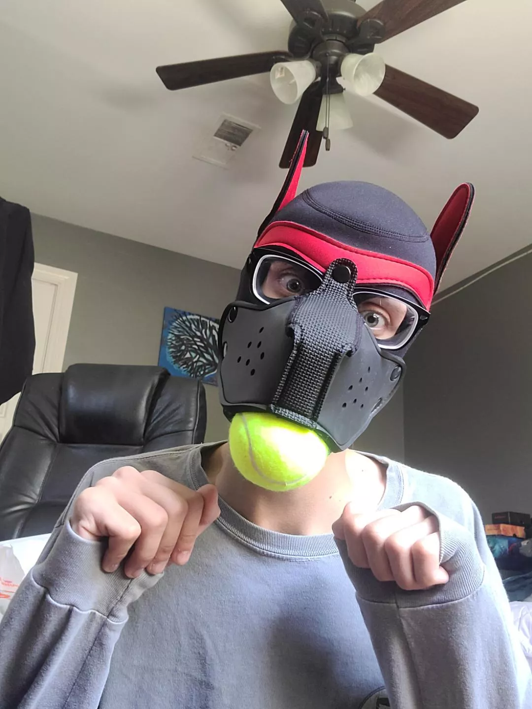 Let's play fetch ☺