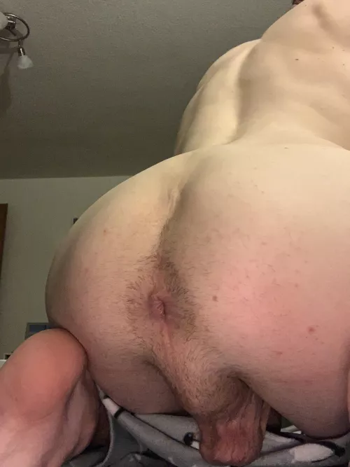 Letting my fur grow again