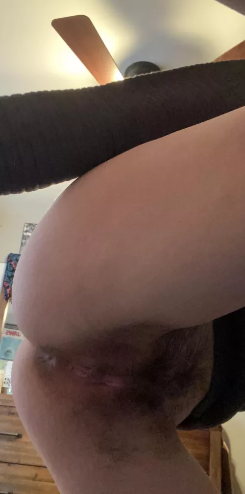 Little quick photo for my fans before seeing my boyfriend and letting him shoot his load all over this bush! Tried to show my asshole a bit but was rushed! Follow me to see the bush painted in cum 😈