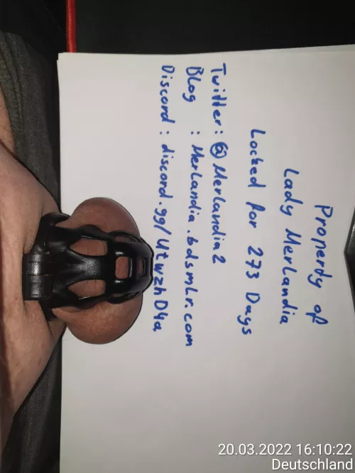 locked for 273 days. my Lady is looking for New slaves