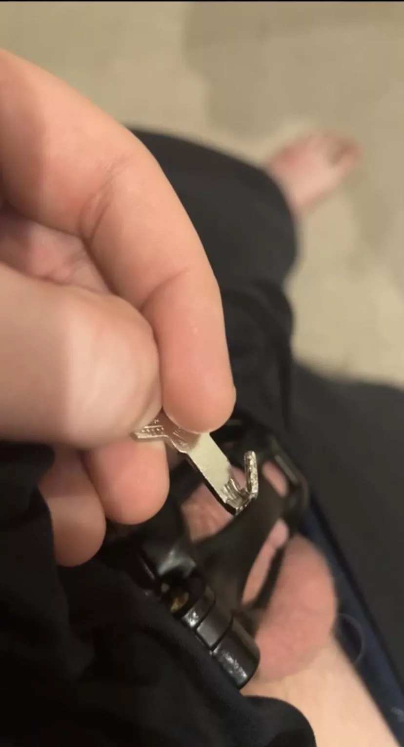 look at this sissy right here! she broke her key to lock herself in permanent chastity so she can become a girly girl! what a good girl she is. look at this sissy right here! she broke her key to lock herself in permanent chastity so she can become a girly girl! what a good girl she is.
