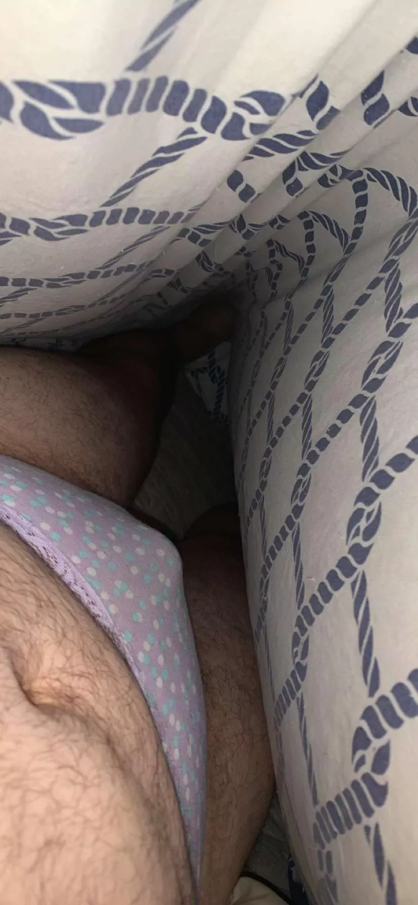 Look at what’s hiding under my covers