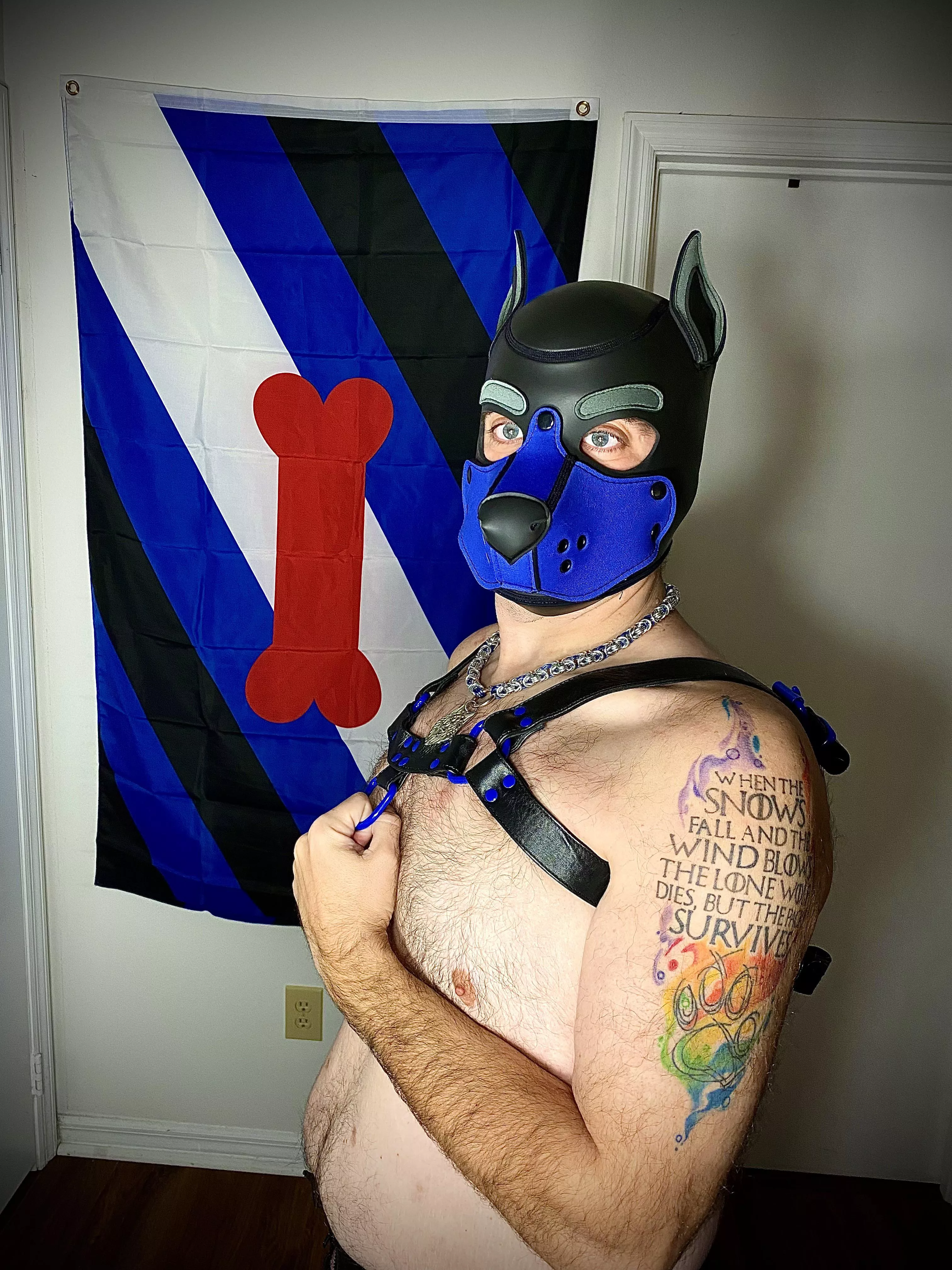 Looking for someone to tug on my harness….any takers?