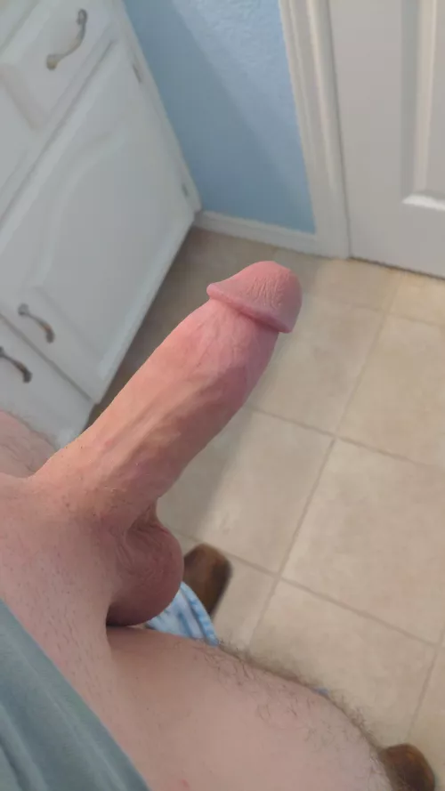 Looking for trouble 😵‍💫