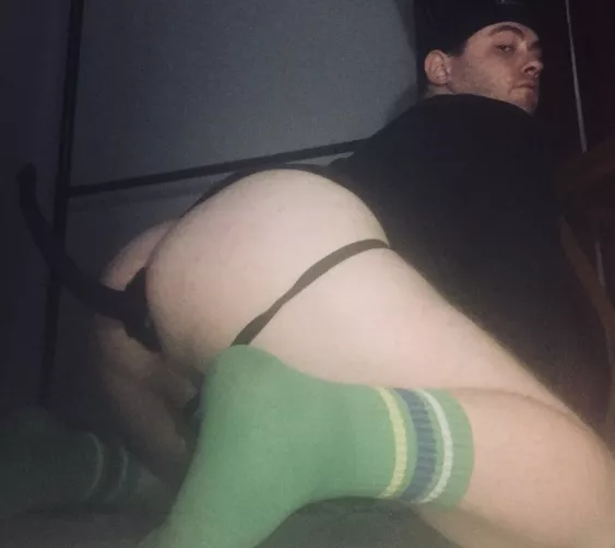 love a good puppy tail🐺